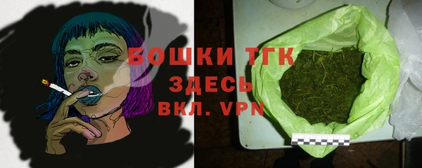 тгк Бородино