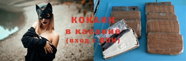 тгк Бородино