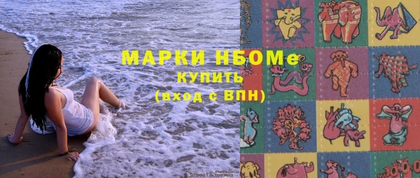 тгк Бородино