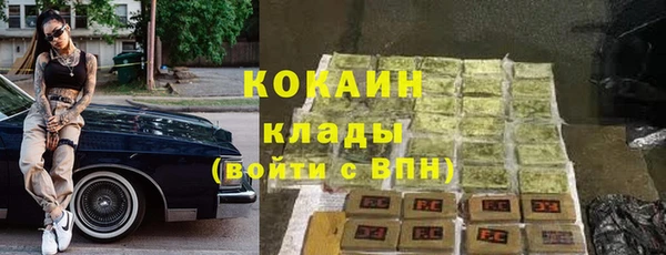 тгк Бородино