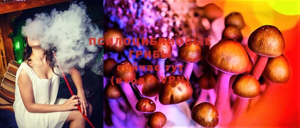 тгк Бородино