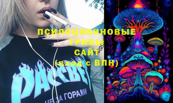 тгк Бородино