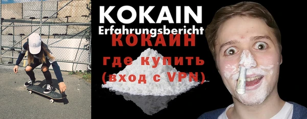 тгк Бородино